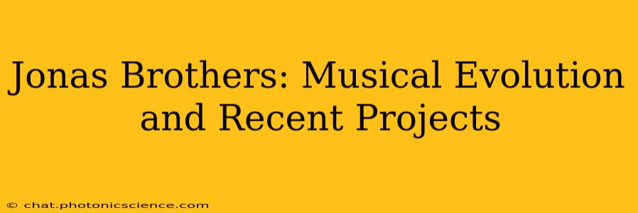 Jonas Brothers: Musical Evolution and Recent Projects
