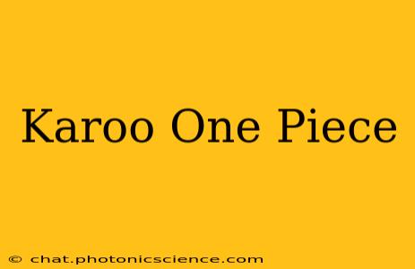 Karoo One Piece