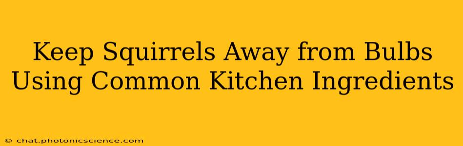Keep Squirrels Away from Bulbs Using Common Kitchen Ingredients