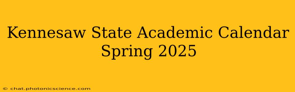 Kennesaw State Academic Calendar Spring 2025