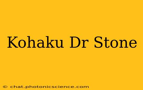 Kohaku Dr Stone