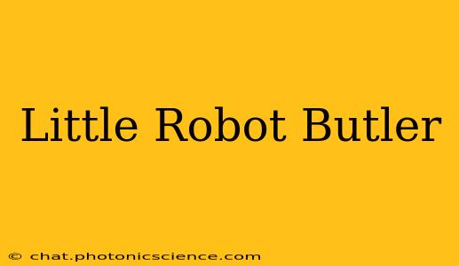 Little Robot Butler