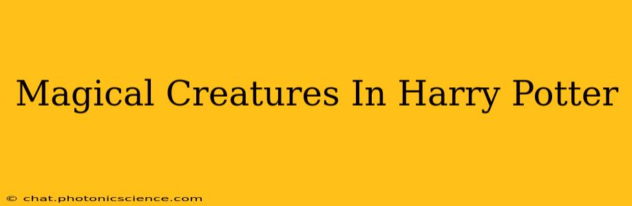 Magical Creatures In Harry Potter