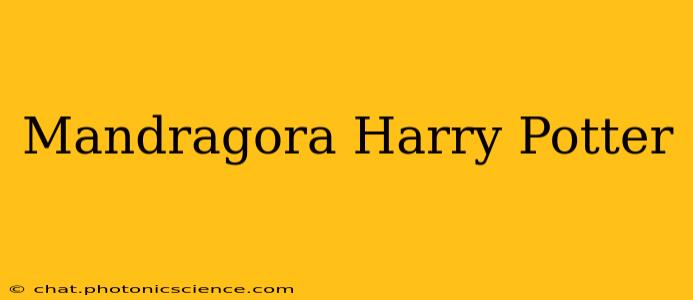 Mandragora Harry Potter