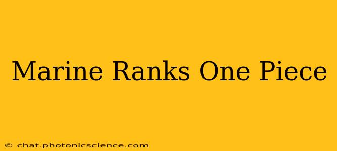 Marine Ranks One Piece
