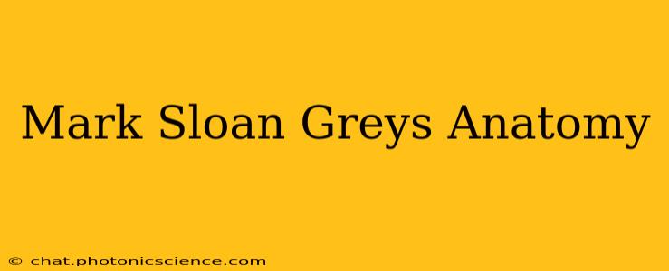 Mark Sloan Greys Anatomy