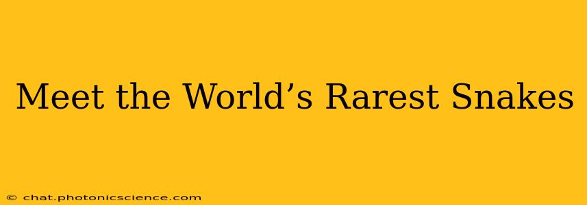 Meet the World’s Rarest Snakes