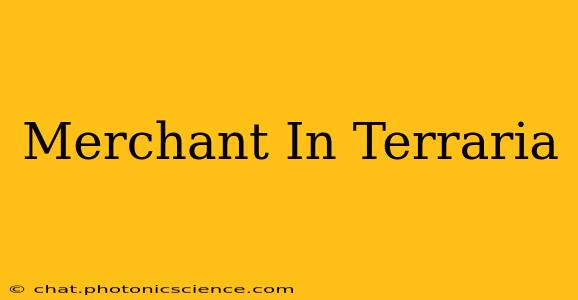 Merchant In Terraria