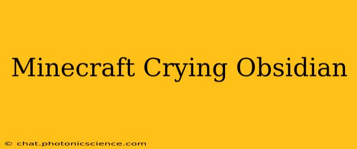 Minecraft Crying Obsidian