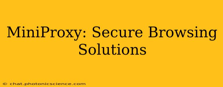 MiniProxy: Secure Browsing Solutions