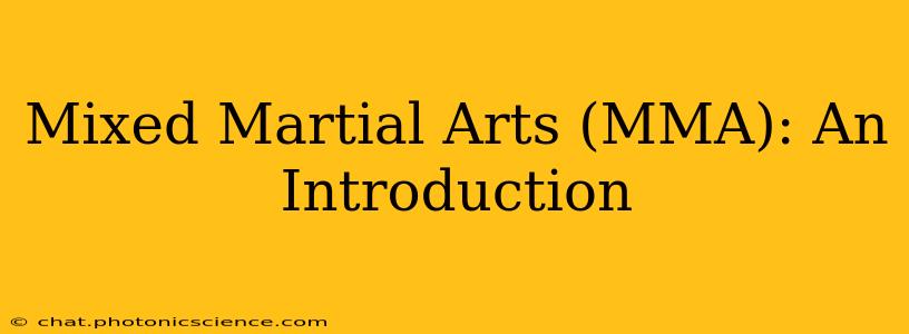 Mixed Martial Arts (MMA): An Introduction