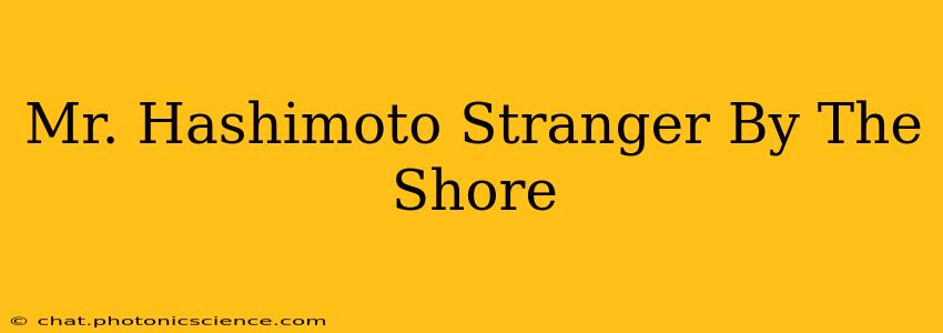 Mr. Hashimoto Stranger By The Shore