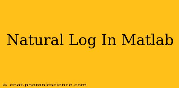 Natural Log In Matlab
