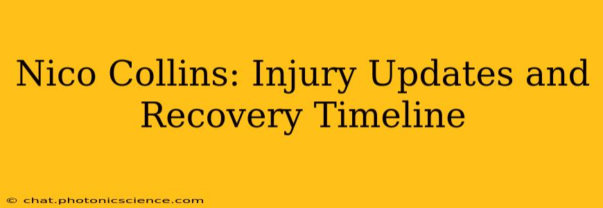 Nico Collins: Injury Updates and Recovery Timeline