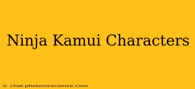 Ninja Kamui Characters
