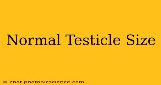 Normal Testicle Size