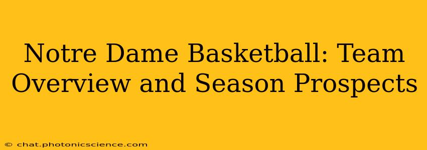 Notre Dame Basketball: Team Overview and Season Prospects