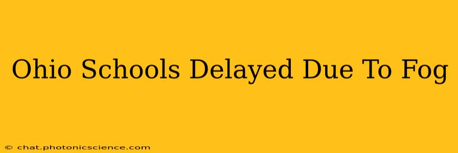 Ohio Schools Delayed Due To Fog