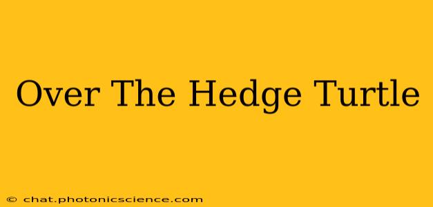 Over The Hedge Turtle