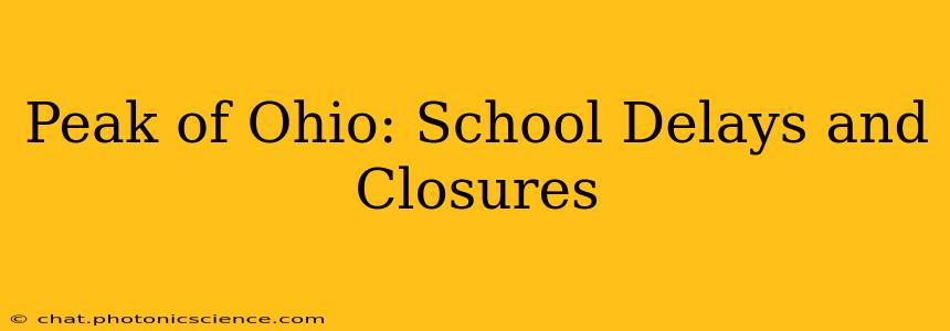 Peak of Ohio: School Delays and Closures