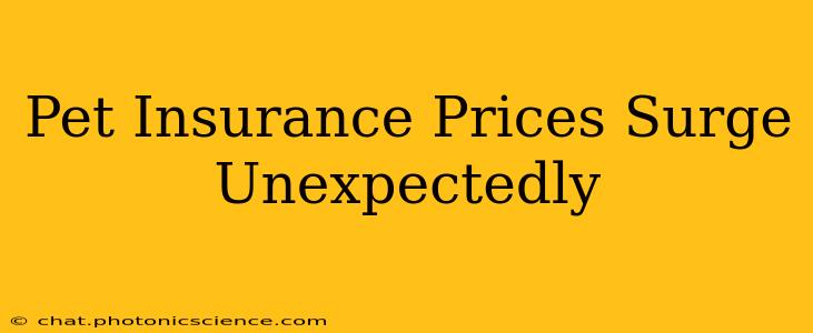Pet Insurance Prices Surge Unexpectedly