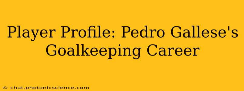 Player Profile: Pedro Gallese's Goalkeeping Career