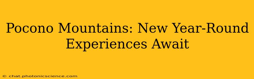 Pocono Mountains: New Year-Round Experiences Await