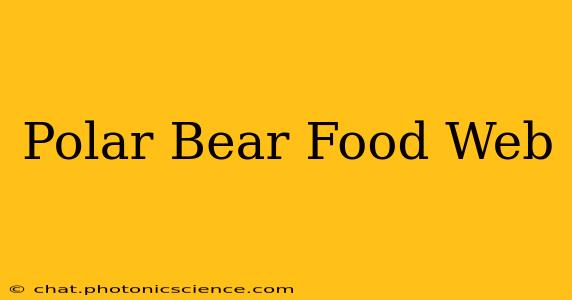 Polar Bear Food Web