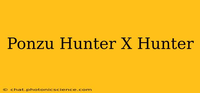 Ponzu Hunter X Hunter