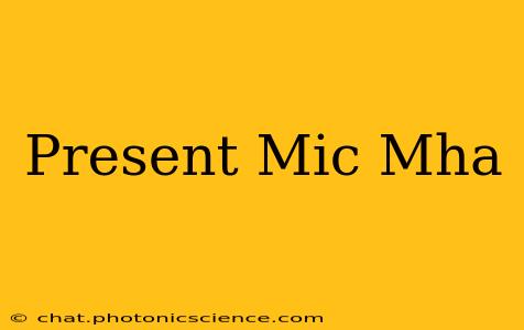 Present Mic Mha