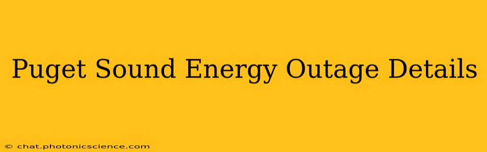 Puget Sound Energy Outage Details
