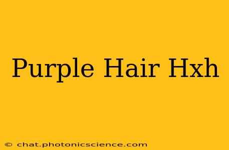 Purple Hair Hxh
