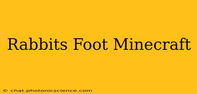 Rabbits Foot Minecraft