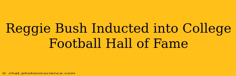Reggie Bush Inducted into College Football Hall of Fame