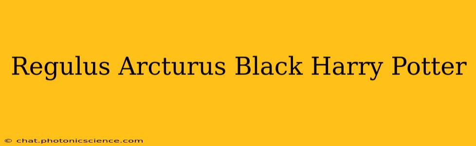 Regulus Arcturus Black Harry Potter