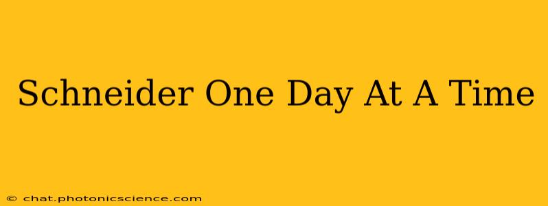 Schneider One Day At A Time