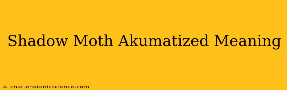 Shadow Moth Akumatized Meaning