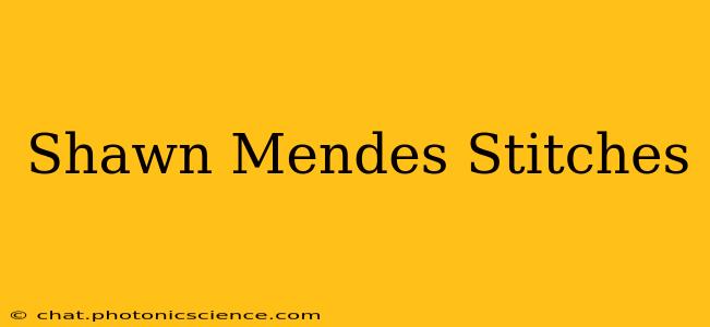 Shawn Mendes Stitches