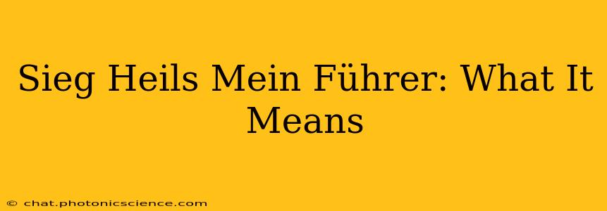 Sieg Heils Mein Führer: What It Means