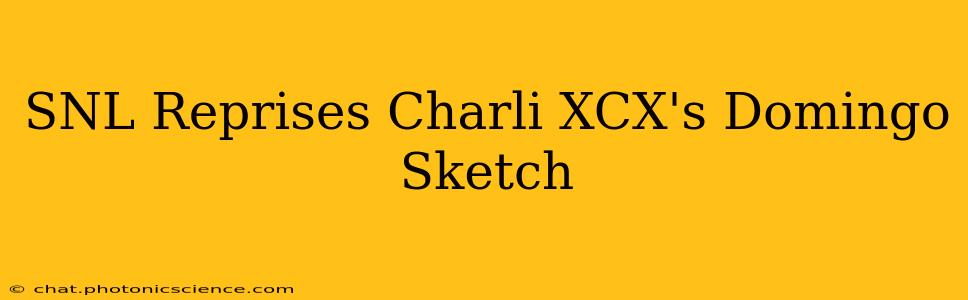 SNL Reprises Charli XCX's Domingo Sketch