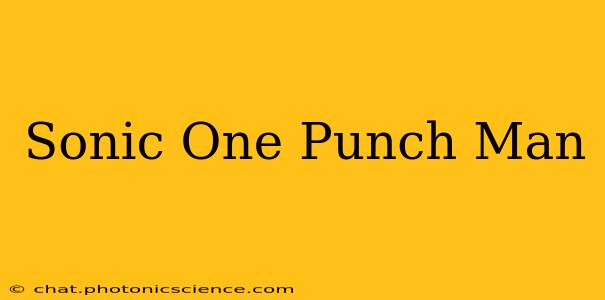 Sonic One Punch Man