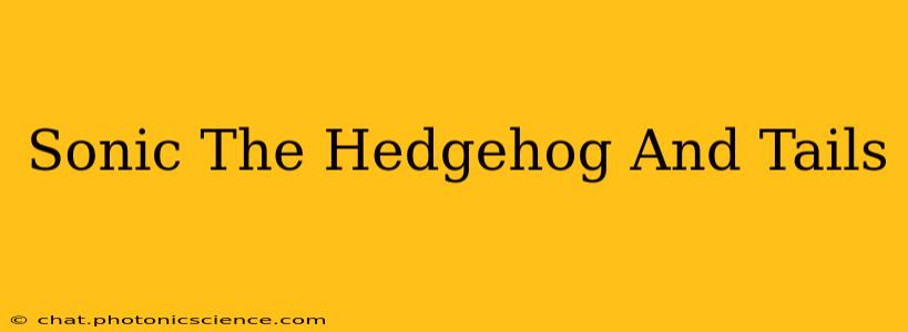 Sonic The Hedgehog And Tails