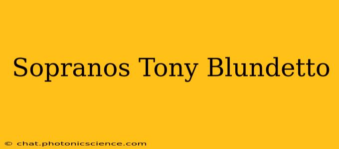 Sopranos Tony Blundetto