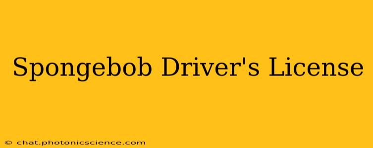 Spongebob Driver's License