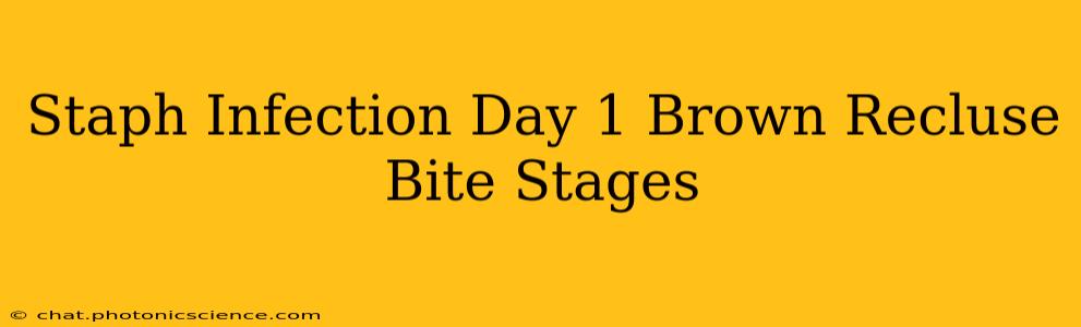 Staph Infection Day 1 Brown Recluse Bite Stages