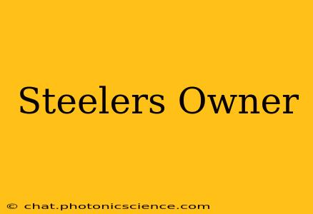 Steelers Owner