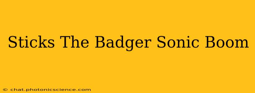 Sticks The Badger Sonic Boom