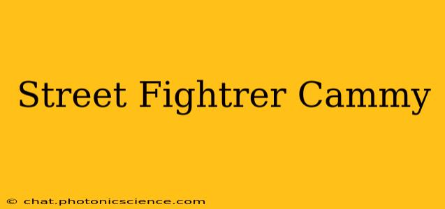 Street Fightrer Cammy