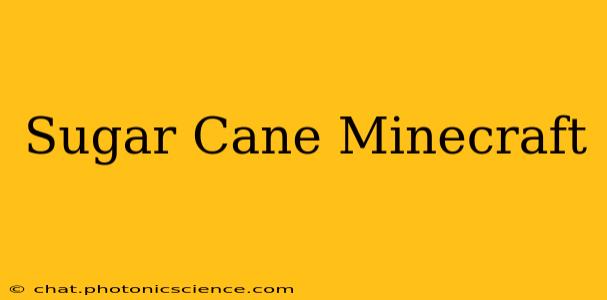 Sugar Cane Minecraft