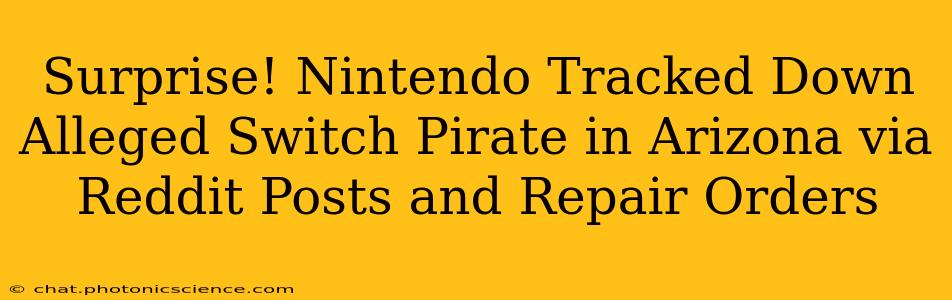 Surprise! Nintendo Tracked Down Alleged Switch Pirate in Arizona via Reddit Posts and Repair Orders